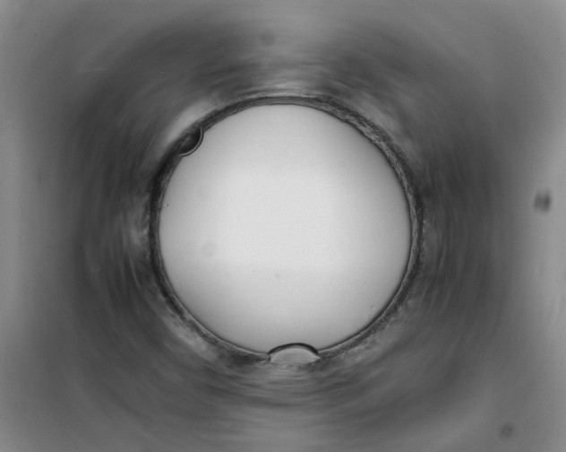 X0000100981450200807151404