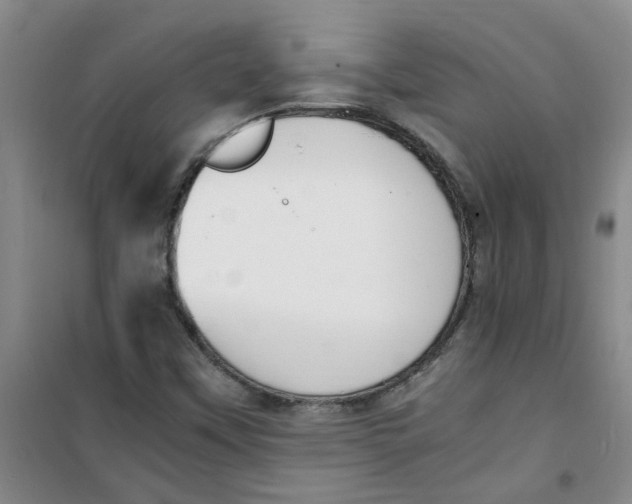 X0000100981451200807151404