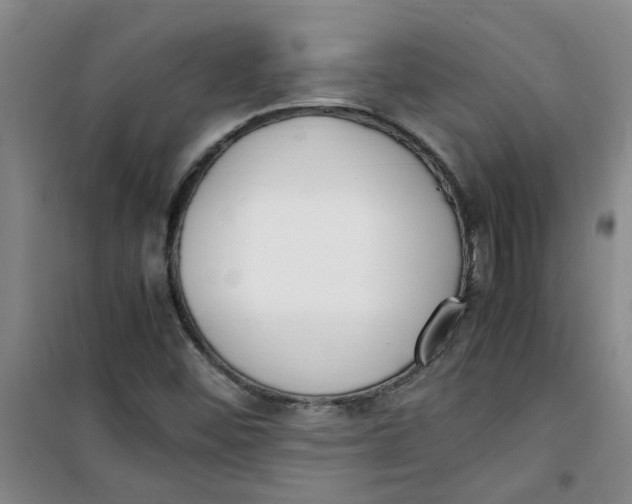 X0000100981452200807151404