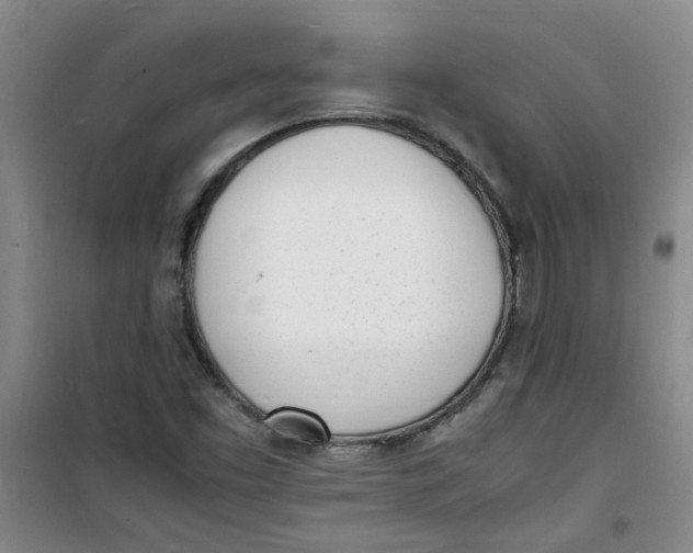 X0000100981453200807151404