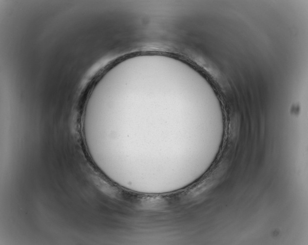 X0000100981454200807151404