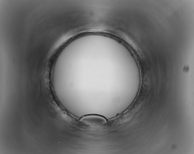 X0000100981456200807151404