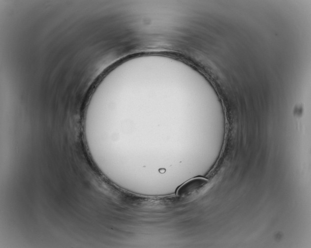 X0000100981457200807151404