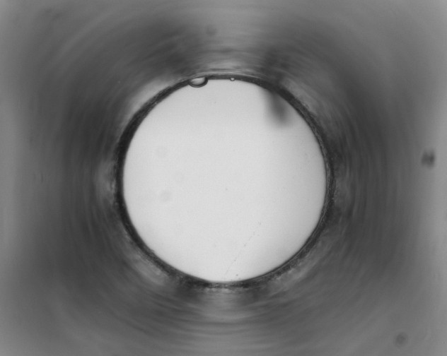 X0000100981458200807151404