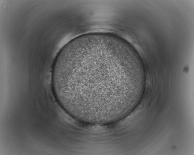 X0000100981459200807151404