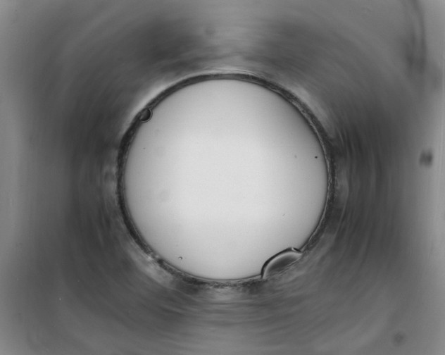 X0000100981460200807151404