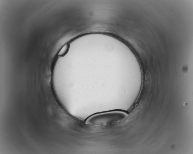 X0000100981461200807151404