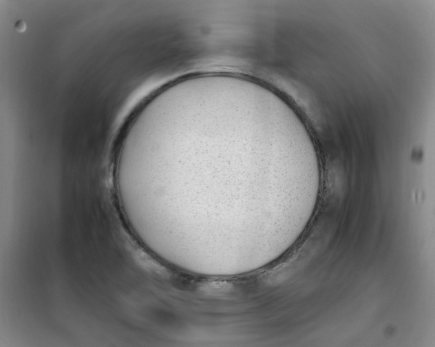 X0000100981462200807151404