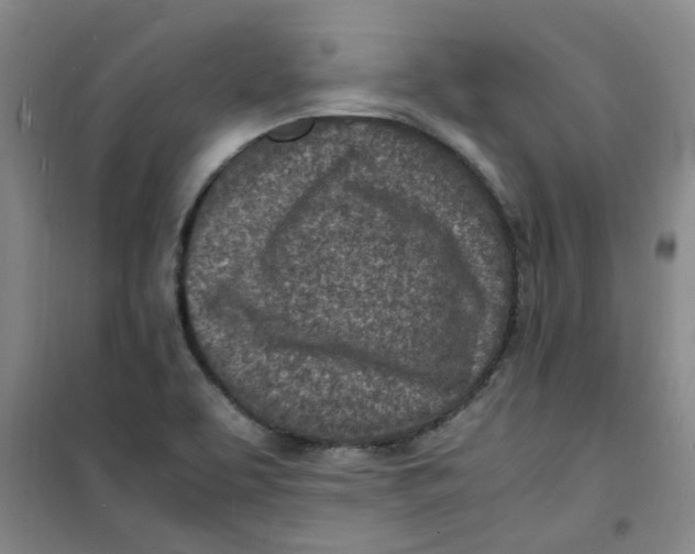 X0000100981463200807151404