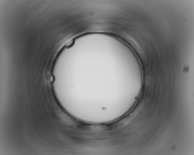 X0000100981465200807151404