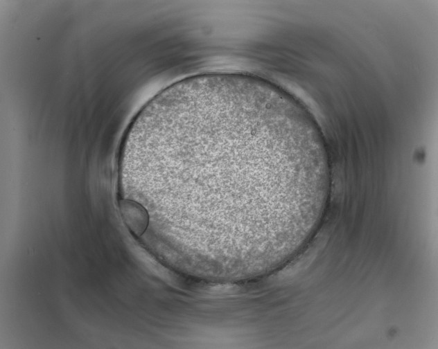 X0000100981467200807151404