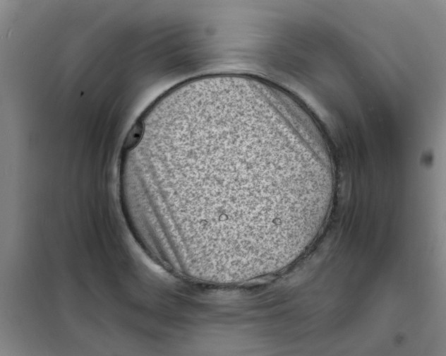 X0000100981468200807151404