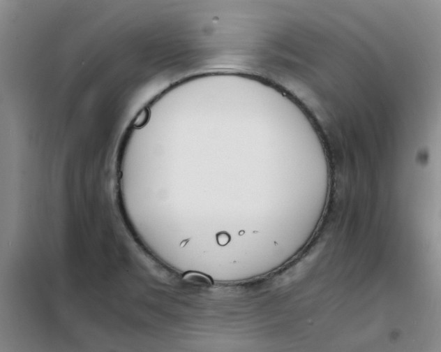 X0000100981469200807151404