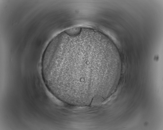 X0000100981471200807151404