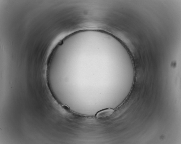 X0000100981472200807151404