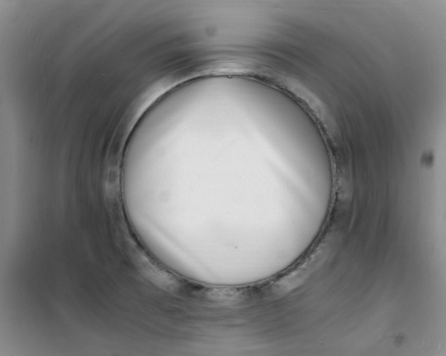 X0000100981473200807151404