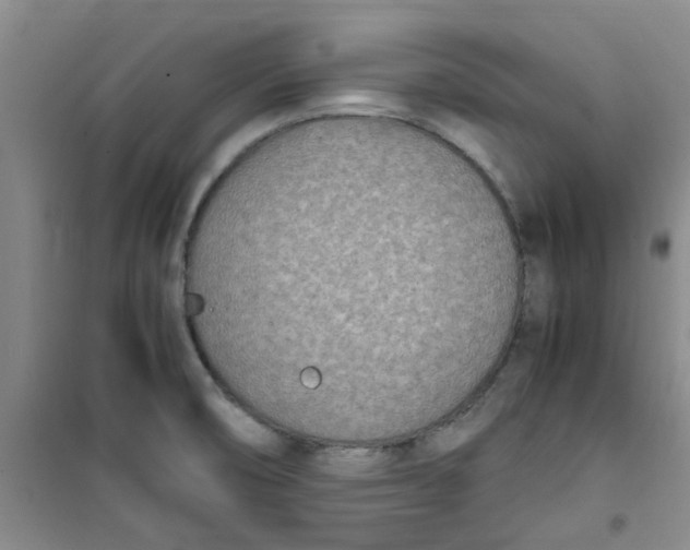 X0000100981474200807151404