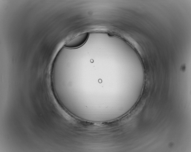 X0000100981475200807151404