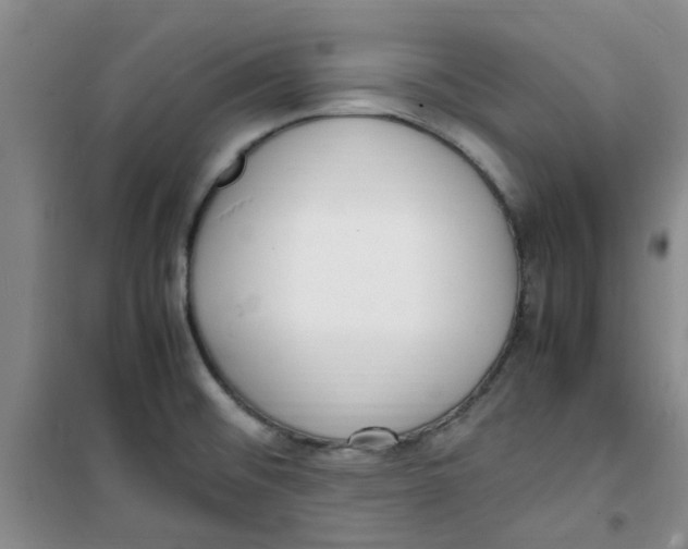 X0000100981476200807151404