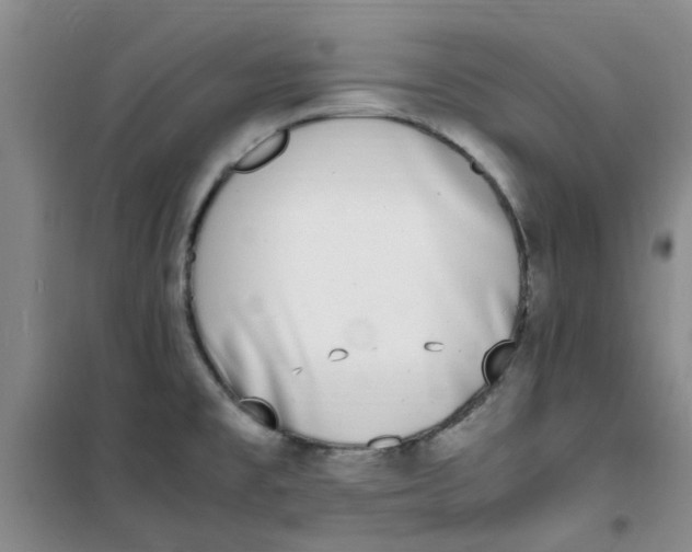 X0000100981477200807151404