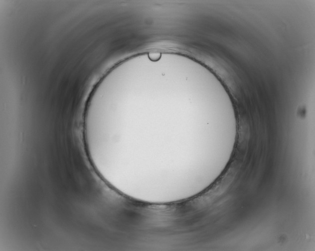 X0000100981478200807151404