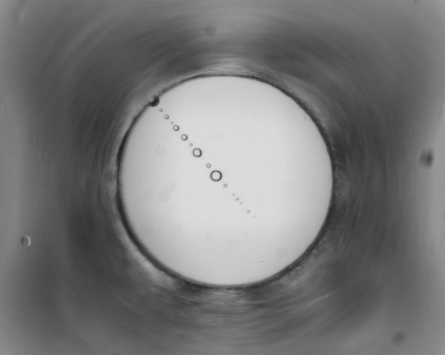 X0000100981479200807151404