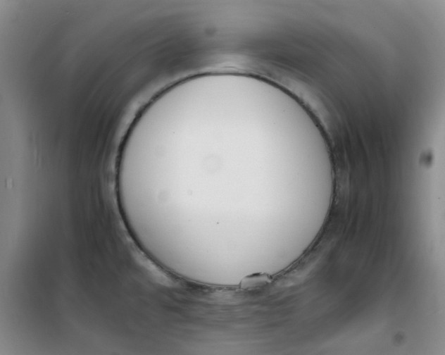 X0000100981480200807151404