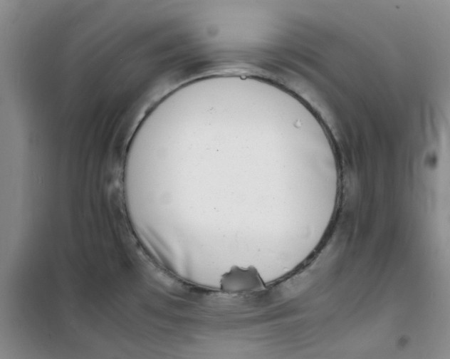 X0000100981481200807151403