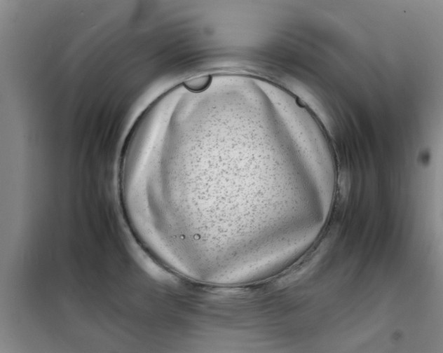 X0000100981482200807151403