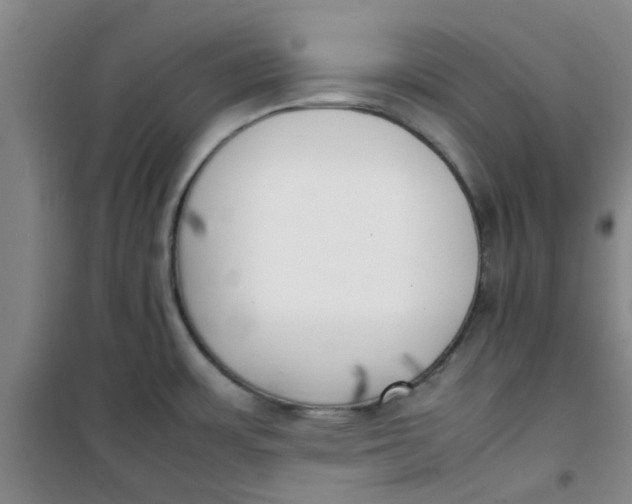 X0000100981483200807151403