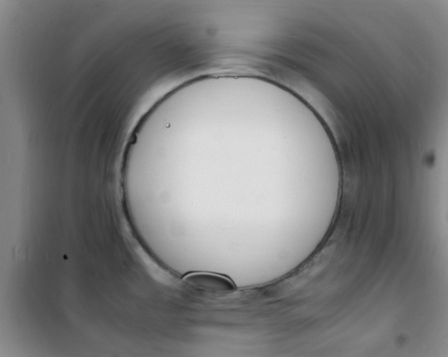 X0000100981485200807151403