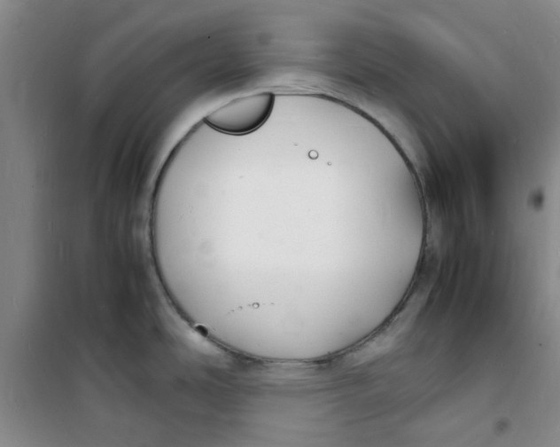 X0000100981486200807151403