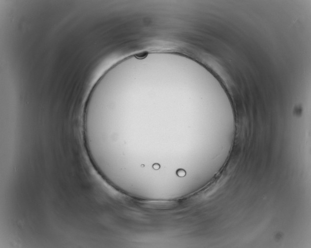 X0000100981487200807151403