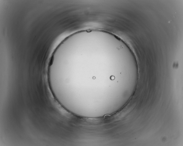 X0000100981488200807151403