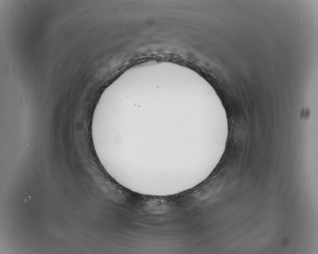 X0000100981489200807151403