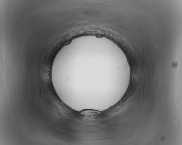 X0000100981490200807151403