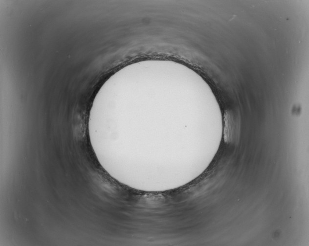 X0000100981491200807151403