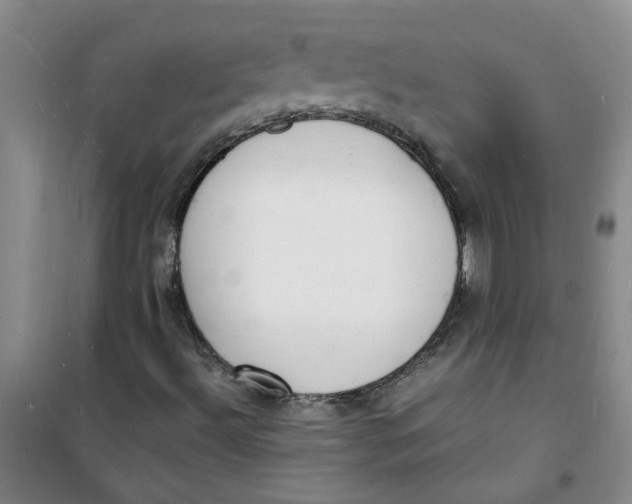 X0000100981492200807151403