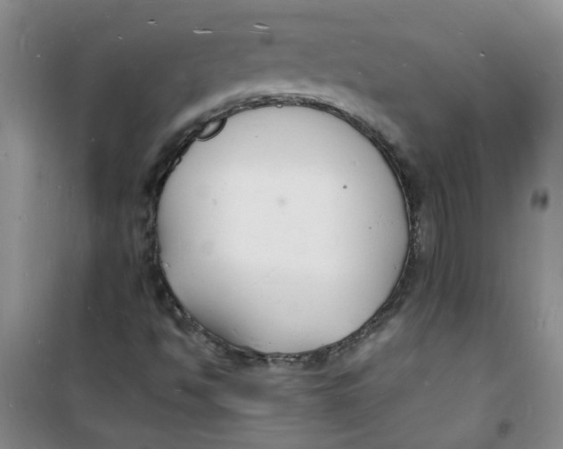 X0000100981494200807151403