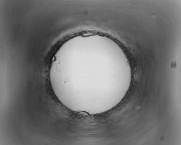 X0000100981495200807151403