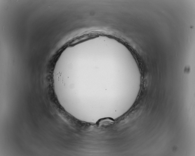 X0000100981496200807151403