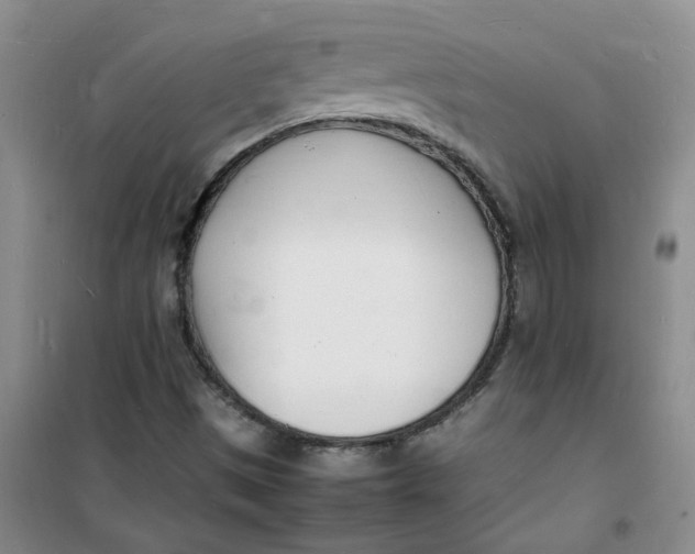 X0000100981497200807151403