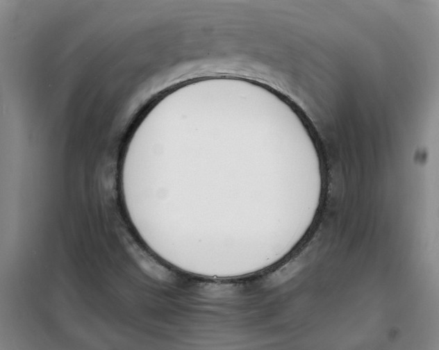 X0000100981499200807151403