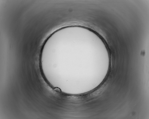 X0000100981500200807151403