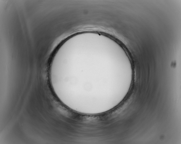 X0000100981501200807151403