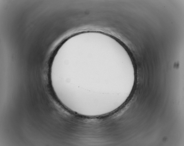 X0000100981502200807151403