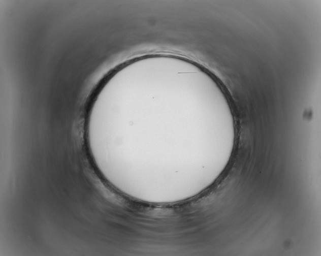 X0000100981503200807151403