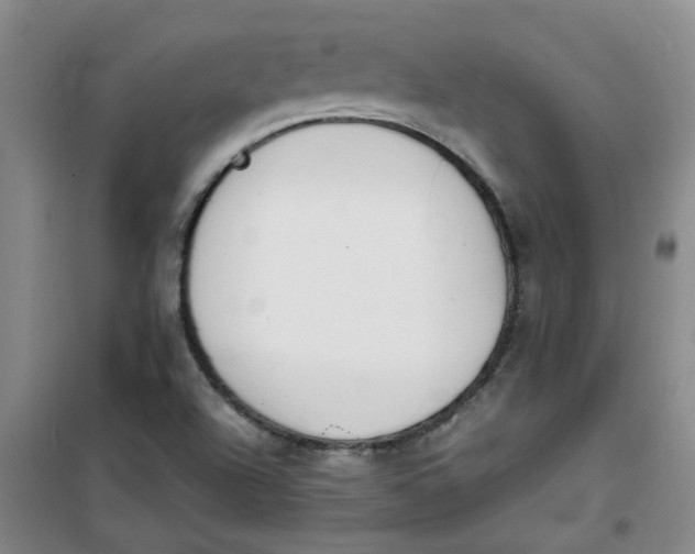 X0000100981504200807151403