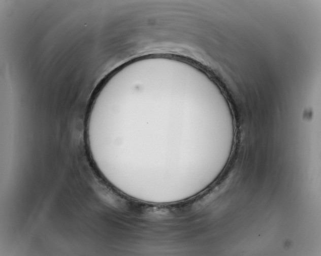 X0000100981505200807151403