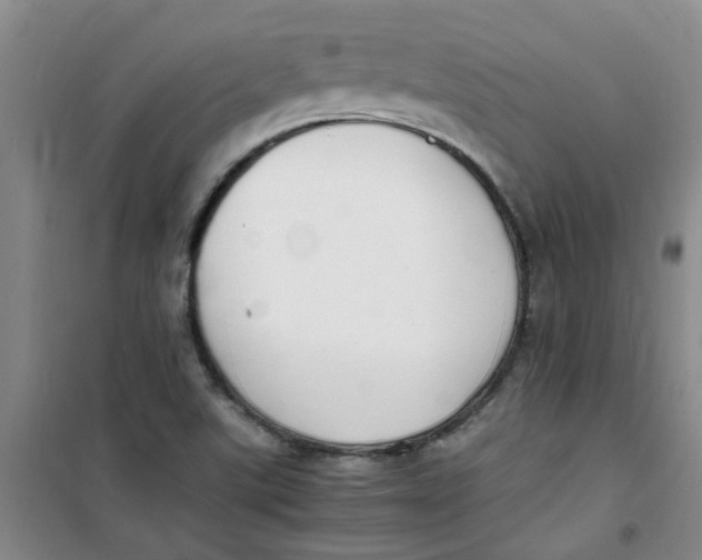 X0000100981507200807151403